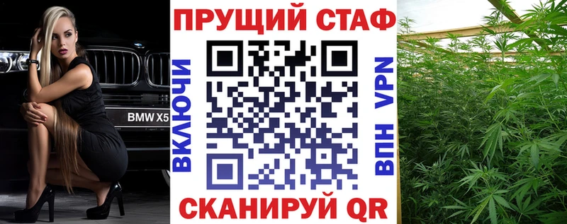 МЕФ Кызыл
