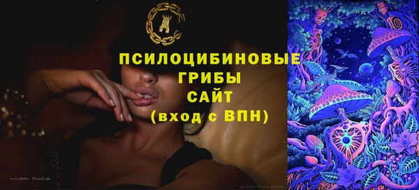 соль ск Володарск