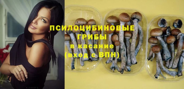 соль ск Володарск