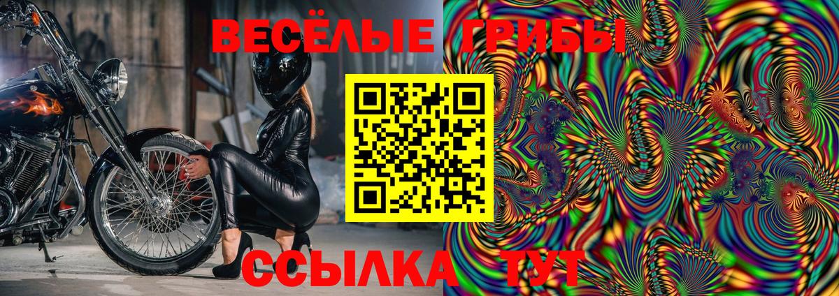 Псилоцибиновые грибы мицелий Кызыл